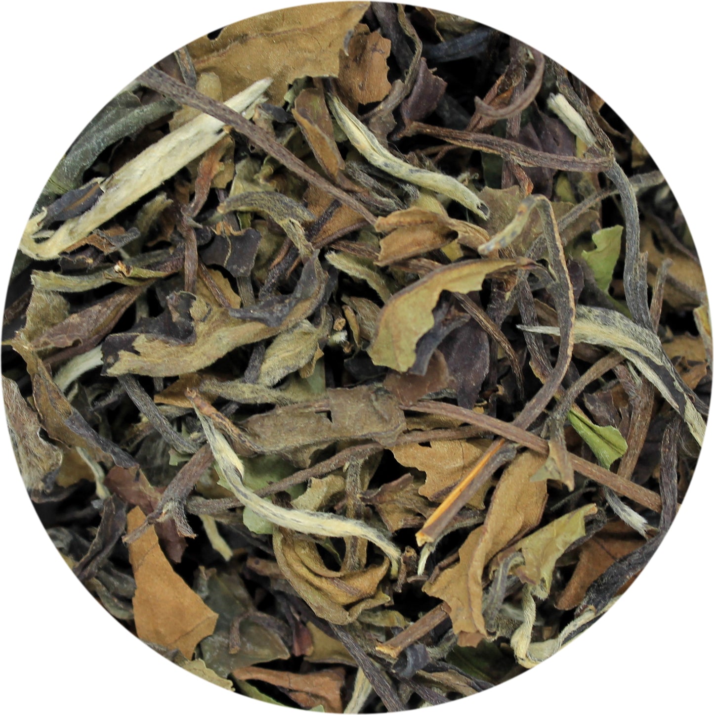 Bai Mu Dan