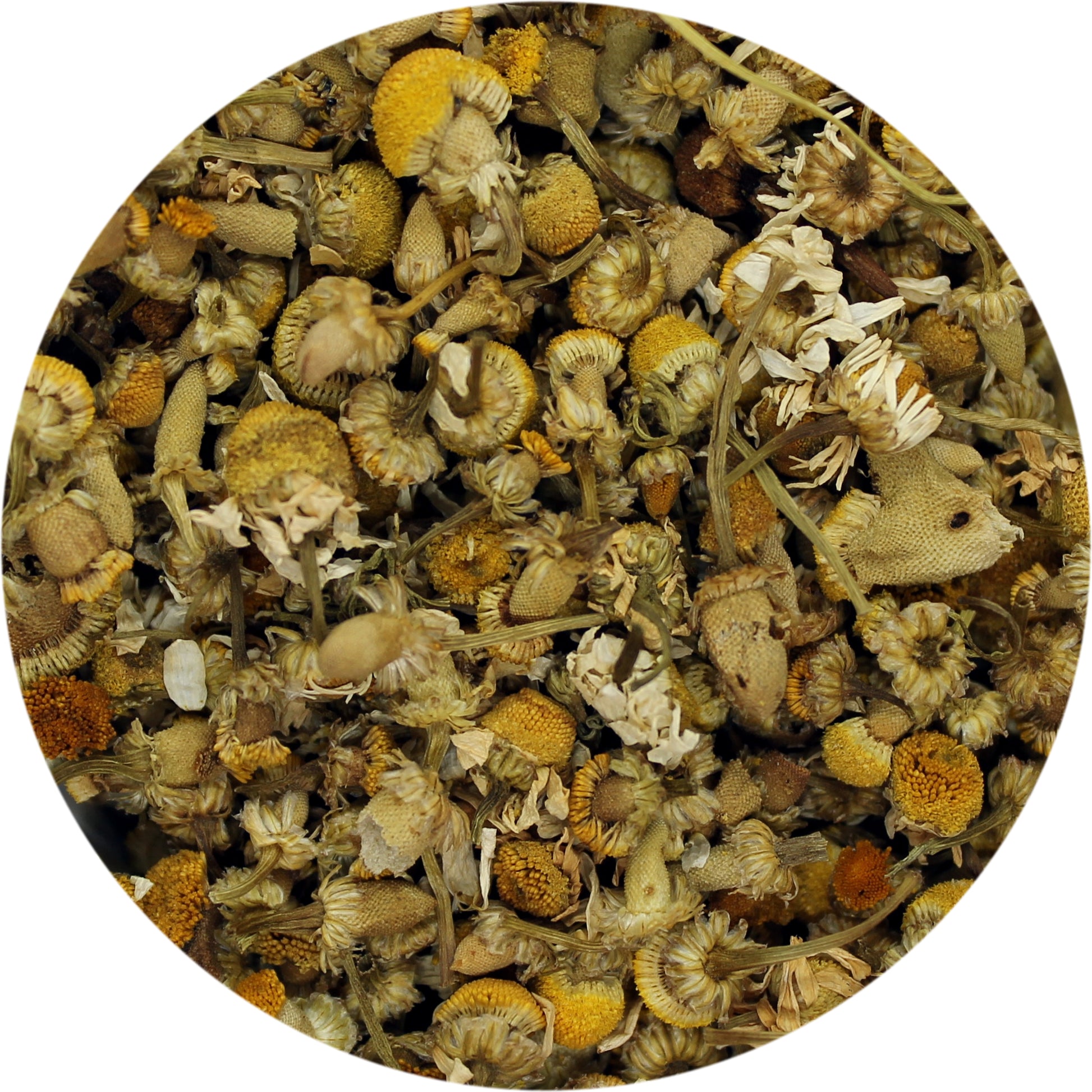 a close-up image of dried chamomile flowers in a circular frame